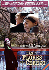 Las flores del cerezo