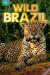Brasil salvaje: Un mundo peligroso