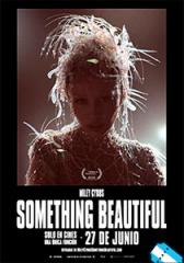 Miley Cyrus: Something Beautiful