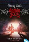 Stray Kids: The dominATE Experience