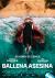 Ballena asesina