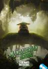 Star Wars: The Mandalorian and Grogu