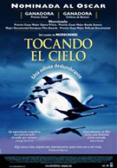 Tocando el cielo