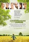 Luciérnagas en el jardín