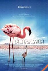 The Crimson Wing: Mystery of the Flamingos