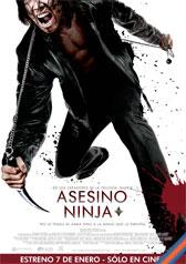 Asesino ninja