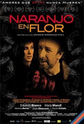 Naranjo en flor