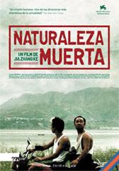 Naturaleza muerta
