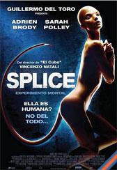 Splice