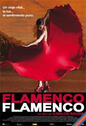 Flamenco, Flamenco