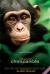Chimpancés