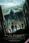 The Maze Runner