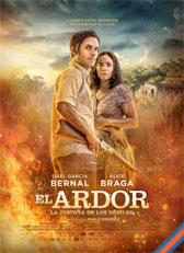 El ardor