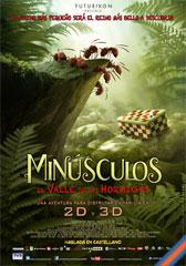 Minúsculos