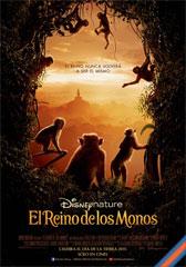 El reino de los monos