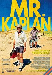 Mr. Kaplan