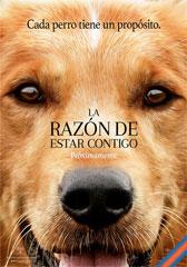 La razón de estar contigo