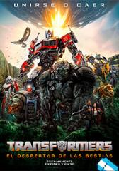 Transformers 6