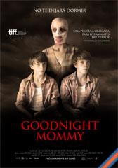 Goodnight Mommy