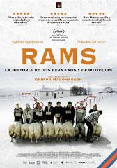 Rams