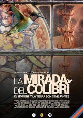 La mirada del colibrí