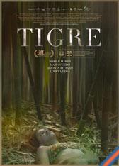 Tigre