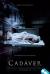 The Possession of Hannah Grace