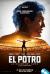 El Potro