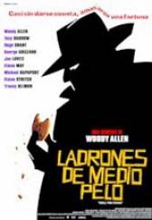 Ladrones de medio pelo