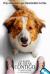A Dog's Journey