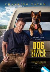 Dog: un viaje salvaje