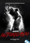 Oso intoxicado