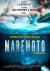 Maremoto