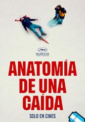 Anatomía de una caída