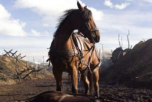 Caballo de guerra en 43 salas desde el jueves