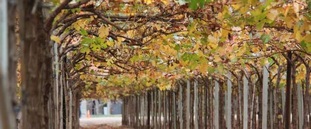 Mendoza fue la que menos perdió en las vacaciones de invierno